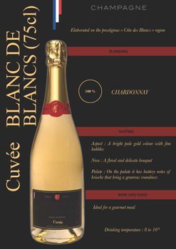 Champagne Blanc de Blanc - TRADEWAY SRL - Italy