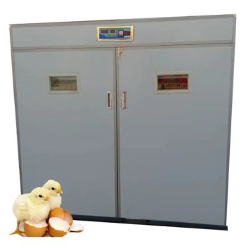 Portugal Industrial 3000 Pieces Chicken Egg Incubator Beyou 3168 Quail Hatcher - Nanchang Huibing Electronics Co., Ltd. - China