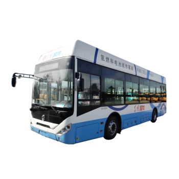10m Meter Bus New Energy Hydrogen Gas Electric Power Long Public Passenger City Bus - Ricalt Automobile Technology (Hubei) Co., Ltd. - China