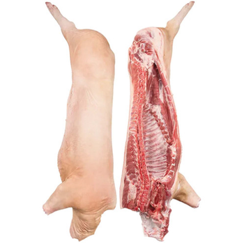 Frozen Pork Carcass – Grade A, HACCP Certified, Bulk Wholesale & Export Supply - TRADE NEPAL LLC - United States