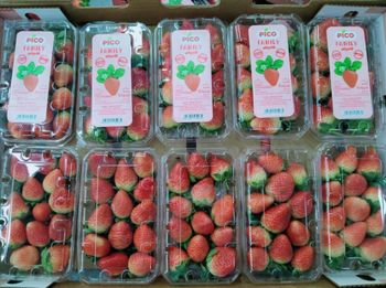 Fresh Fruits Regulatory Compliance Eu Mrl And Spring Regulations Certifications Global Gap, Tn11, Brc, Fssc22000, Iso 9001, Iso 14001, Ohsas 18001, Field To Fork (f2f), - PICO - Egypt