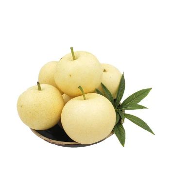 New season of Fresh China Golden Pear/Century Pear/Crown Pear for sale Asian Pears Ya Sand Pear with cheap price - Guanxian Good Goods Commerce Co.,Ltd. - China