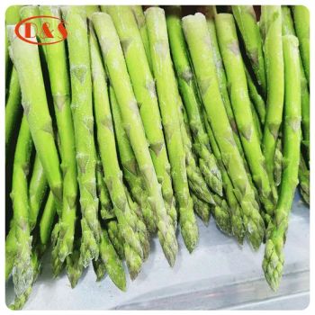 Premium IQF Green Asparagus Spears, Frozen Asparagus - QINGDAO DEESHENGHENGXIN FOOD CO., LTD. - China