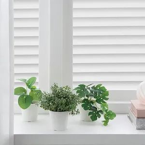 Imitation Blinds Window Privacy Film - Decorative Film Suitable for Windows in Living Rooms, Kitchens and Offices - Lishui Panxinxing E-Commerce Co., Ltd - China