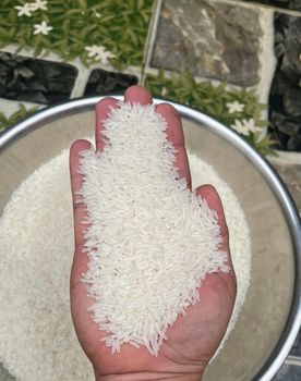 Vietnamese Fragrant Rice Rice Variety Dt8 Origin Vietnamese Availability Current Crop Packaging 50 Kg Pp Woven - Annam Rice PTE LTD - Vietnam