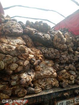 Natural Rubber Cup Lumps - Takem Industries - Cameroon