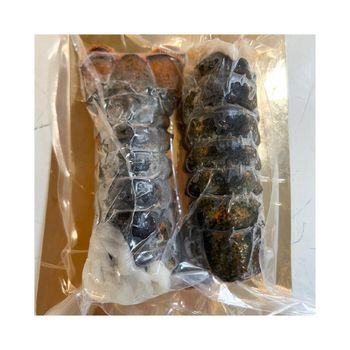 Factory sourced frozen lobster tails available for ongoing bulk demand Bulk supply frozen lobster tails - MASI TRADING GMBH - Germany