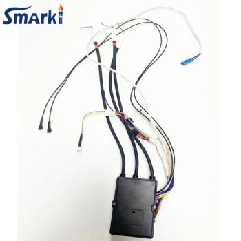 Gas Water Heater Parts Pulse Igniter Generator Spark - Zhongshan Smarki Home Appliance Co., Ltd. - China