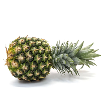 Wholesale Premium Fresh Pineapple Sweet Juicy Tropical Fruit Direct Farm Supply For Hotels Restaurants Food Service - TRADECENTRIC LLC - United States