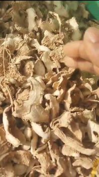 Dry ginger from Medilight global investment limited Dry ginger - Medilight global investment limited - Nigeria