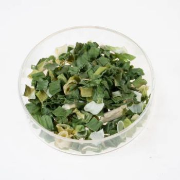 Green Chive Leek Spring Onion Shallot Ring Size 5-8mm Taste Spicy Color Green Origin China Shape Slices Trademark xbs Type Dehydrated - Shanghai Sinospices Sourcing Ltd. - China