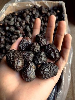 Dried Blueberries - BF GLOBAL TRADING (PTY) LTD - South Africa