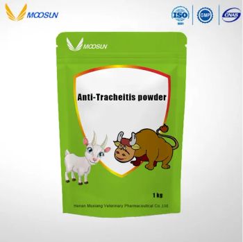 Anti-Tracheitis Powder Veterinary Medicines for Cattle and Sheep - Henan Muxiang Biological Co., Ltd. - China
