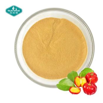 Fruit Extract Professional Manufacturer Organic Acerola Cherry Fruit Juice Food Additive Powder - Nutrifirst Biotech Inc. - China