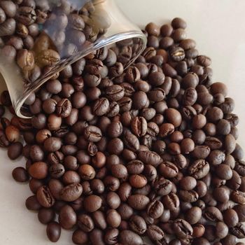 Best Unroasted Arabica and Robusta Coffee Beans Ready Raw Green With 1 Year Shelf Life Bulk Packaged Direct Private Purchase from AGRONOVA Best Unroasted Arabica and Robusta Coffee Beans Ready Raw Green With 1 Year Shelf Life Bulk Packaged Direct Private Purchase – product photo, Unroasted Green Coffee Beans products found from trusted suppliers, wholesalers, manufacturers & exporters Listing