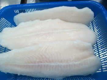 Pangasius fillet - 	HAO PHAT CO DO IMPORT - EXPORT CO., LTD - Vietnam