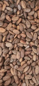 Dry cocoa beans Origin Madagascar Form Dry Cocoa Beans Bean Type Trinitario Max. Moisture (%) ≤ 7,5% Degree of Processing Raw - Spice Trade Ventures - Madagascar