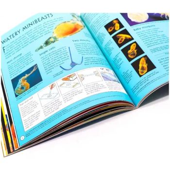 Wholesale Custom Hardcover Softcover Paper Books Printing Magazine Booklet Brochures Catalogue Photo Book Printing Services - Shenzhen Cifang Printing and Packaging Co., Limited - China