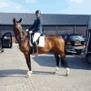 Product - KIM DE LAAT SPORTHORSES - Netherlands