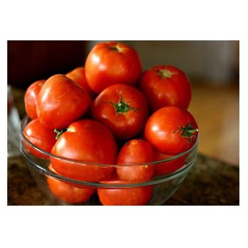 Fresh tomatoes Fast Shipping high Quality tomato from Brazil Fresh Red Tomatoes  -  CALIPSO POLSKA SP Z OO  - Poland
