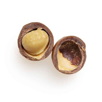 High Quality Macadamia Nuts Bulk Supply Macadamia Nuts With Clean Kernel Texture And Rich Flavor For International Food Industry Buyers - THE GREEN INTERNATIONAL LIMITED - Tanzania