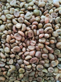Indonesian Robusta Green Coffee Beans - Grade 1 – product photo, Roasted Robusta Coffee Beans products found from trusted suppliers, wholesalers, manufacturers & exporters Listing