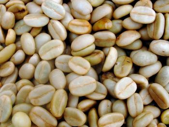 Robusta Cherry AA - Trailblazing ARX - India