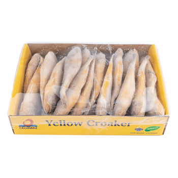 Fresh Frozen Yellow Croaker Fish Natural Ocean Harvest Premium Seafood for Commercial Buyers Family Meals - TRADECENTRIC LLC - United States