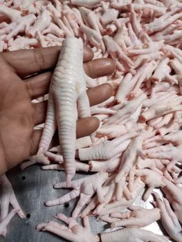 Chicken feet – product photo, Chicken Feet products found from trusted suppliers, wholesalers, manufacturers & exporters Listing