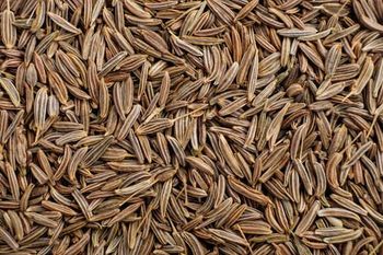 Premium Wholesale Cumin Seeds Supplier | High Quality Natural Dried Cumin Seeds for Food Processing, Spice Manufacturing, Seasoning Blends, Retail Packaging, Bulk Export, Private Label, Global Distribution with Competitive Prices and Reliable Shipping Services - agroturaspzoo - Poland