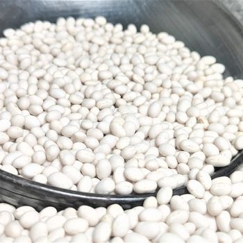 2024 Ethiopian Origin White Pea Beans Hand-Picked Round shape Wholesale Dried New Crop Available in Bulk Quantity - A.Z TRADING P.L.C - Ethiopia