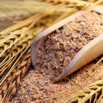Natural Wheat Bran For Poultry And Livestock Feeding Wheat Bran Bulk Quantity With Clean Processing And Rich Fiber from THE GREEN INTERNATIONAL LIMITED Natural Wheat Bran For Poultry And Livestock Feeding Wheat Bran Bulk Quantity With Clean Processing And Rich Fiber - THE GREEN INTERNATIONAL LIMITED - Tanzania