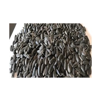 New Crop Organic Dried Black Sunflower Seeds High Quality Raw Wholesale Bird Feed from Balingi Trading Company (PTY) Ltd New Crop Organic Dried Black Sunflower Seeds High Quality Raw Wholesale Bird Feed - Balingi Trading Company (PTY) Ltd - South Africa