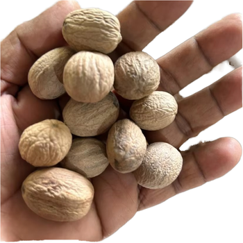 Premium Natural Nutmeg Wholesale Exporter – Carefully Selected Grade A Nutmeg Seeds and Powder Offering Rich Aroma, Warm Flavor, and High Essential Oil Content, Perfect for Culinary Use, Bakery Industry, Beverage Production, Confectionery, and Spice Blending Applications, Supplied in Bulk Quantities with Strict Quality Control, International Standard Packaging, and Reliable Worldwide Delivery Service - agroturaspzoo - Poland