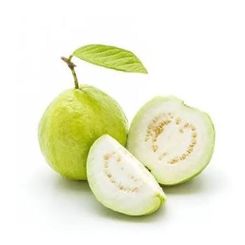 Guava – product photo, Fresh Orange Fruit products found from trusted suppliers, wholesalers, manufacturers & exporters Listing