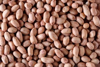 Wholesale Bulk Raw Peanuts Supplier - Mutlu Et Mustafa - France