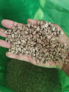 BAGS X 68KG OF GREEN COFFEE ARABICA GREEN COFFEE ARABICA TYPE 1 - procaven - Venezuela, Bolivarian Republic of