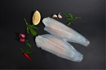 Pangasius Fillet Well-Trimmed - AGOFISH - Vietnam