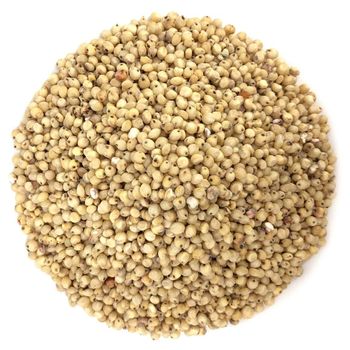 Factory Price White Sorghum Ready For Wholesale Distribution And Export - MASI TRADING GMBH - Germany