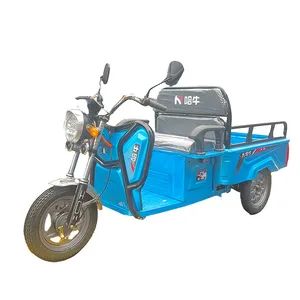 650W Cargo Electric Tricycle with a Tipper Body Manufacturer Electric 3 Wheel Motorcycle for Transportation Moped Cargo 3 Wheelers - Ucore (Tianjin) Technology Co., Ltd - China