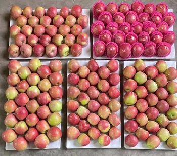 Fruits - Lanyu shipbuilding company  - China