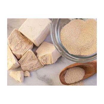 Top Baker Instant Dry Yeast 1 Lb SAF Instant Dry Yeast /Best Brand Instant Dry Yeast 20 x 1 Lb Packaging For Sale Bakery instant dry yeast Yeast Extract Powder Instant dry Yeast - GOLDEN STAR BV - South Africa