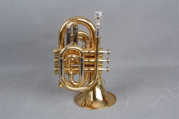 Professional Pocket Trumpet (PTR-A400L) / Pocket Trumpet Bell 123mm Color Gold Bore 11.6mm Origin China Trademark CANEX Age - Canex Musical Instrument Co., Ltd. - China