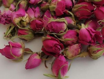 Rose Flower, Petals, Buds, Damask rose Origin Asia Primary Use Tea Flavor Type Floral Aromatic Use Potpourri Tertiary Use Spice Blend - Ruby Herbal Supplies Co - Iran