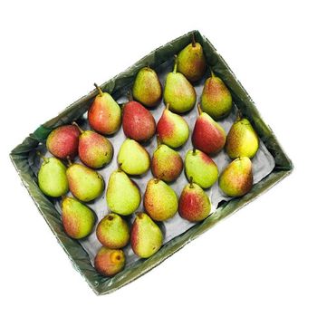 Cape Rose Pears Super Gong Pear 2022 New Season Fresh and Sweet Pakistan Cavendish Banana Organic Cultivation from PK - MUHAMMAD SAQIB RAO FOODSTUFF TRADING LLC - United Arab Emirates
