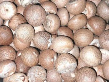 Arecanut Betel Nut Supari Shelf Life 1 year Packaging PP Bags Drying Process - AGROCARTE EXIM ENTERPRISES PVT LTD - India