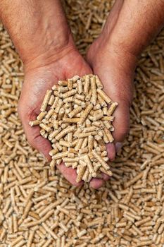 Discount Wholesale Beech Oak Wood Pellets Briquette ENplus A1 Quality 15kg Bags France Origin 5% Ash - PLANETE COMMERCE - France