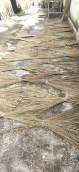 Coconut Palm Stick