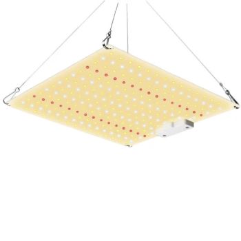Full Spectrum Vegetable Plants Grows Greenhouse 200W 400W Grow Lights - Hubei LiBaiChang Technology Co., Ltd. - China