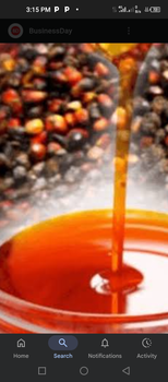 Crude Palm oil Origin Nigeria Packaging 25ltr Gallon Quality Grade Standard - UGORRJI GLOBAL NIG. LTD. - Nigeria
